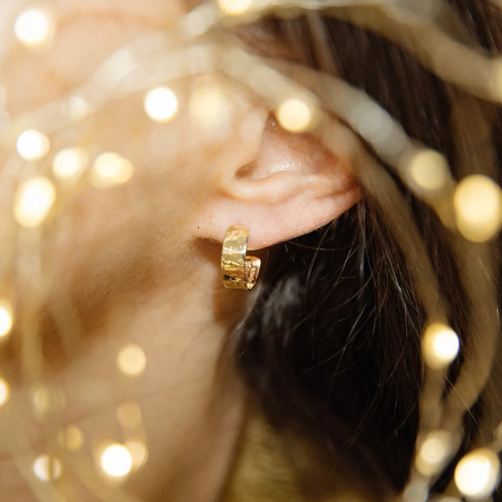 Viviana Small Earrings