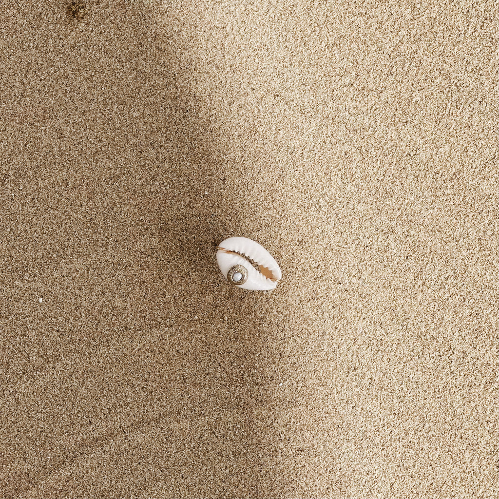 Anillo de Nemo