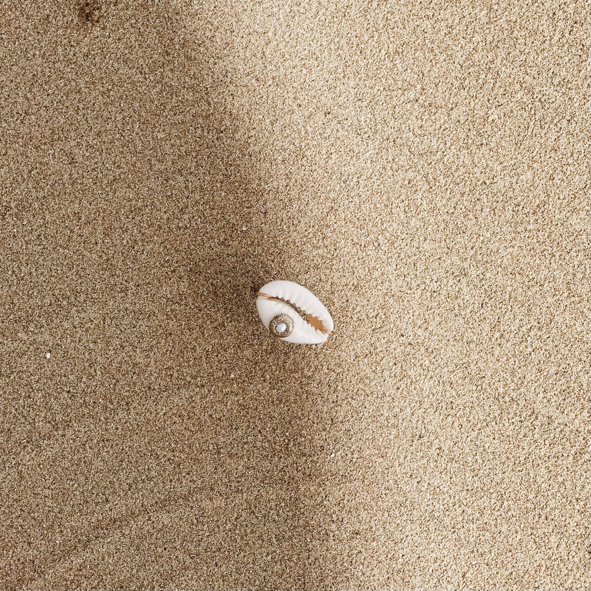 Anillo de Nemo